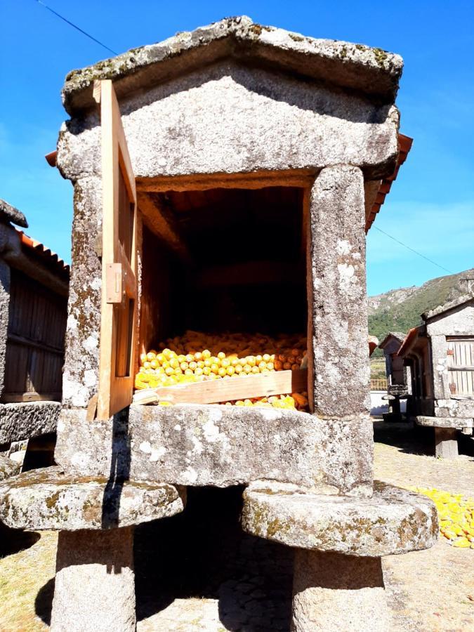 システロ Casa Da Fichuaヴィラ エクステリア 写真